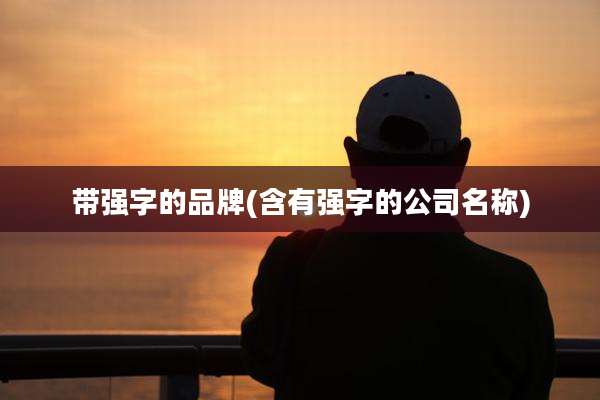 带强字的品牌(含有强字的公司名称)