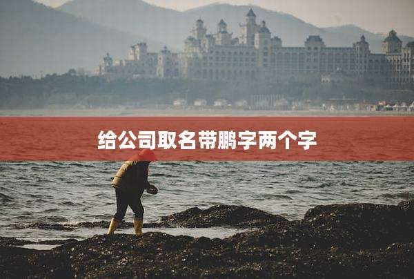 给公司取名带鹏字两个字