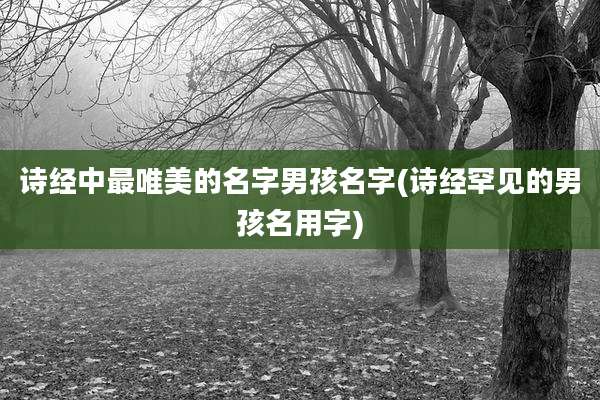 诗经中最唯美的名字男孩名字(诗经罕见的男孩名用字)