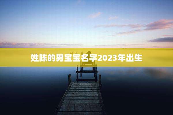 姓陈的男宝宝名字2023年出生