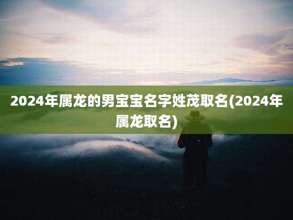 2024年属龙的男宝宝名字姓茂取名(2024年属龙取名)