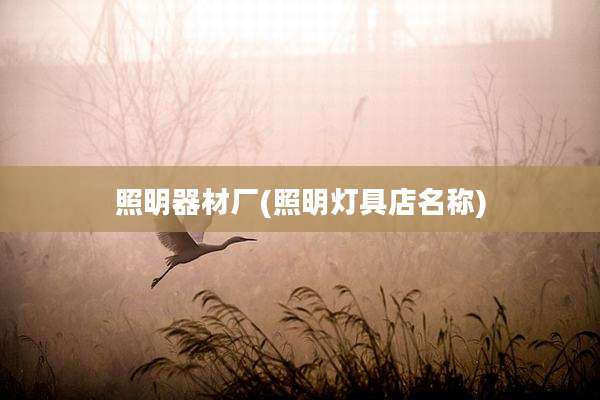 照明器材厂(照明灯具店名称)