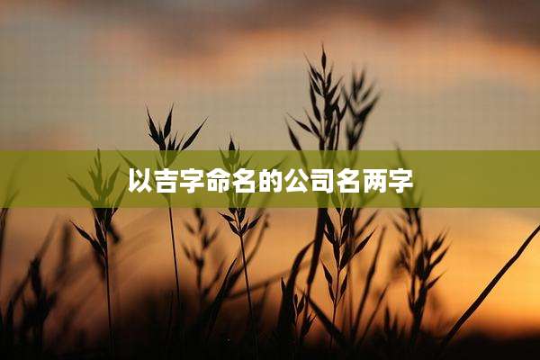 以吉字命名的公司名两字