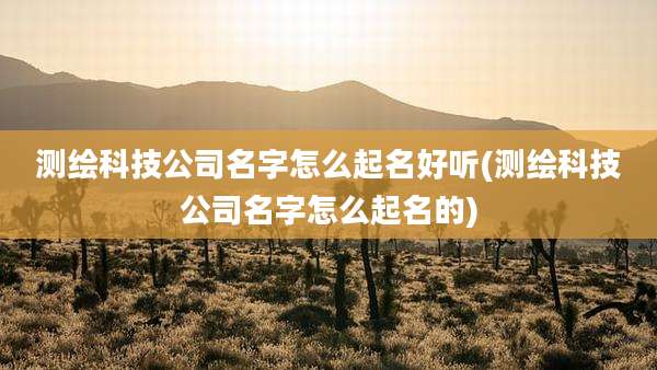 测绘科技公司名字怎么起名好听(测绘科技公司名字怎么起名的)