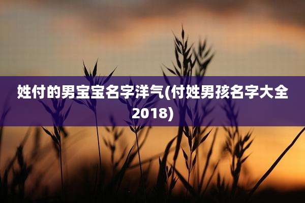 姓付的男宝宝名字洋气(付姓男孩名字大全2018)