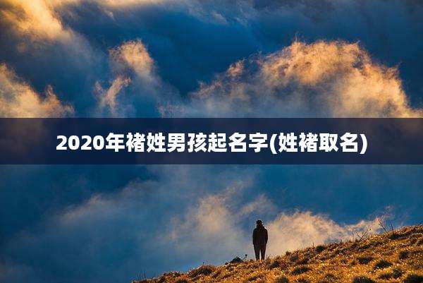 2020年褚姓男孩起名字(姓褚取名)