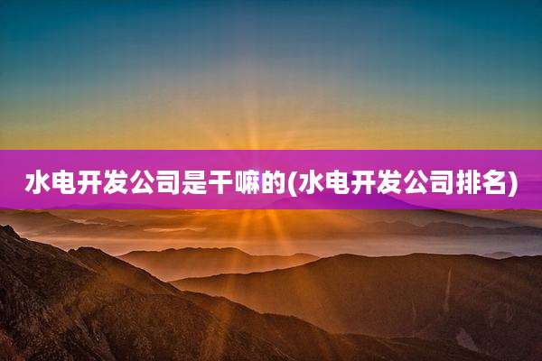 水电开发公司是干嘛的(水电开发公司排名)