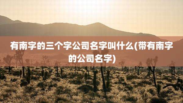 有南字的三个字公司名字叫什么(带有南字的公司名字)