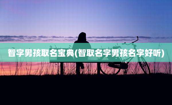 智字男孩取名宝典(智取名字男孩名字好听)