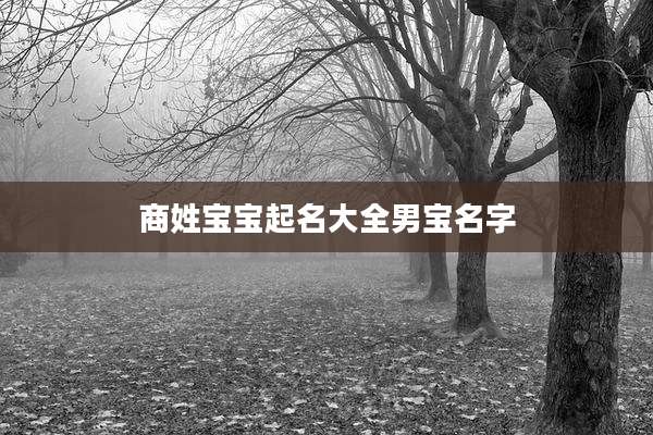 商姓宝宝起名大全男宝名字