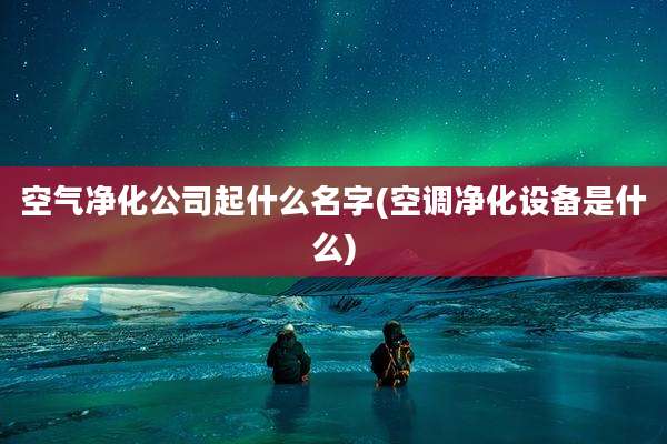 空气净化公司起什么名字(空调净化设备是什么)