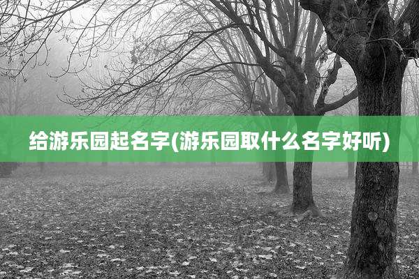 给游乐园起名字(游乐园取什么名字好听)
