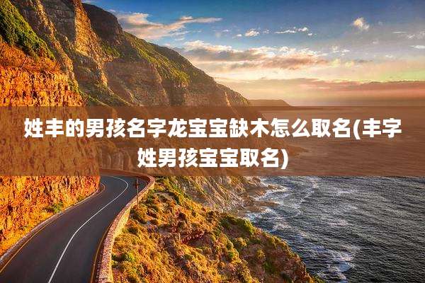 姓丰的男孩名字龙宝宝缺木怎么取名(丰字姓男孩宝宝取名)