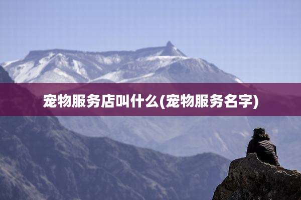 宠物服务店叫什么(宠物服务名字)