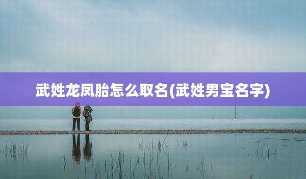 武姓龙凤胎怎么取名(武姓男宝名字)
