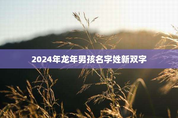 2024年龙年男孩名字姓新双字