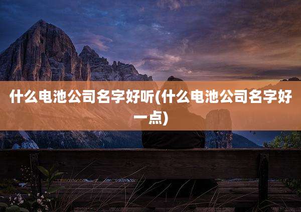 什么电池公司名字好听(什么电池公司名字好一点)