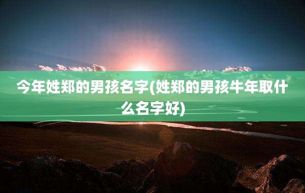 今年姓郑的男孩名字(姓郑的男孩牛年取什么名字好)