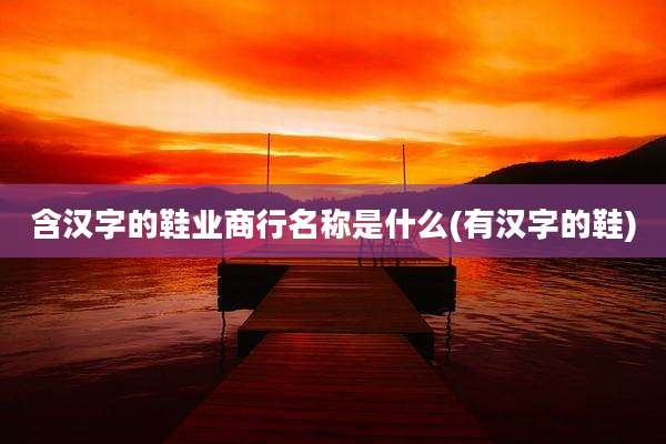 含汉字的鞋业商行名称是什么(有汉字的鞋)
