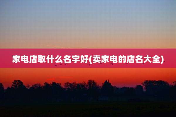 家电店取什么名字好(卖家电的店名大全)