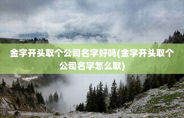 金字开头取个公司名字好吗(金字开头取个公司名字怎么取)