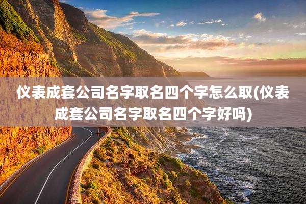 仪表成套公司名字取名四个字怎么取(仪表成套公司名字取名四个字好吗)