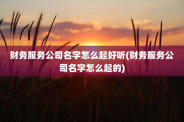 财务服务公司名字怎么起好听(财务服务公司名字怎么起的)