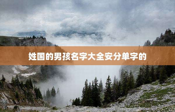 姓国的男孩名字大全安分单字的
