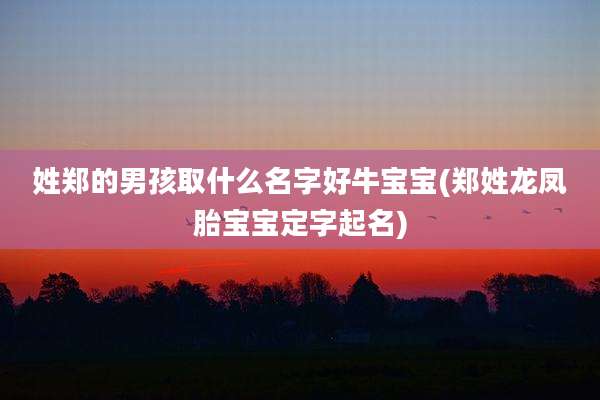 姓郑的男孩取什么名字好牛宝宝(郑姓龙凤胎宝宝定字起名)