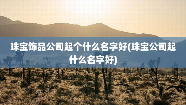 珠宝饰品公司起个什么名字好(珠宝公司起什么名字好)