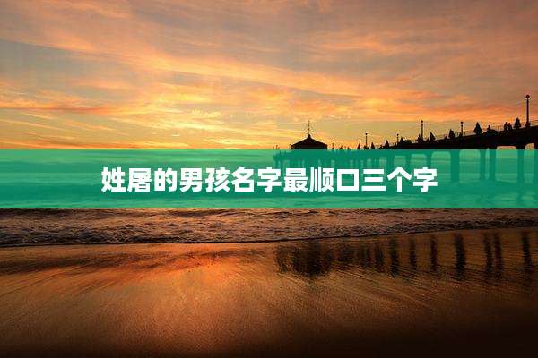 姓屠的男孩名字最顺口三个字