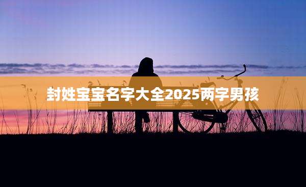 封姓宝宝名字大全2025两字男孩