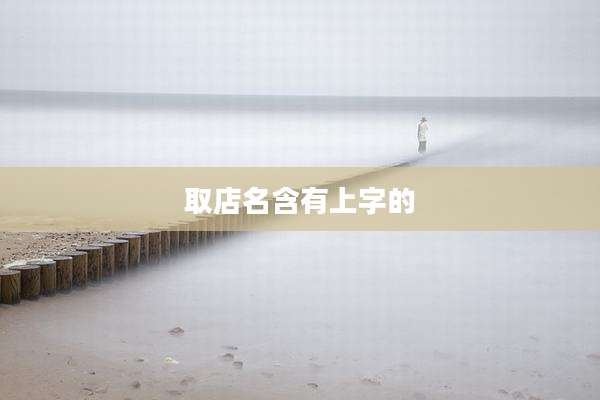 取店名含有上字的