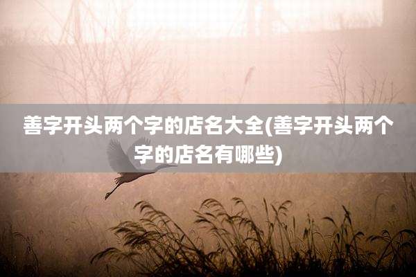 善字开头两个字的店名大全(善字开头两个字的店名有哪些)