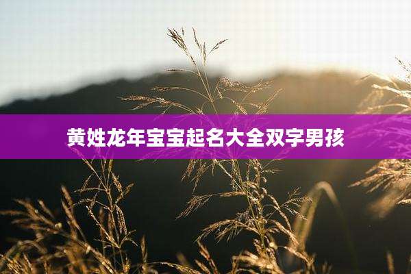 黄姓龙年宝宝起名大全双字男孩
