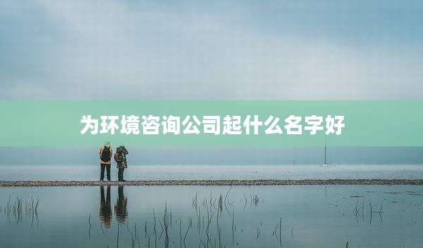 为环境咨询公司起什么名字好