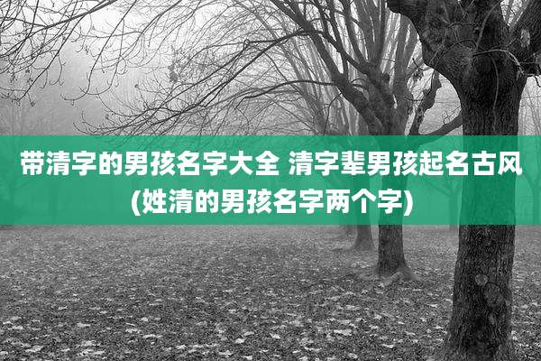 带清字的男孩名字大全 清字辈男孩起名古风(姓清的男孩名字两个字)