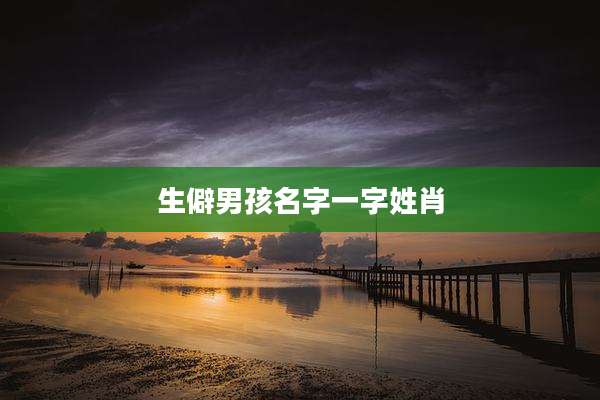 生僻男孩名字一字姓肖