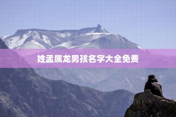 姓孟属龙男孩名字大全免费