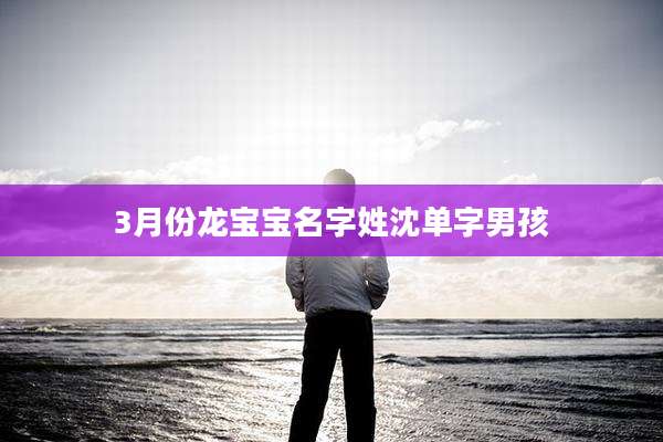 3月份龙宝宝名字姓沈单字男孩