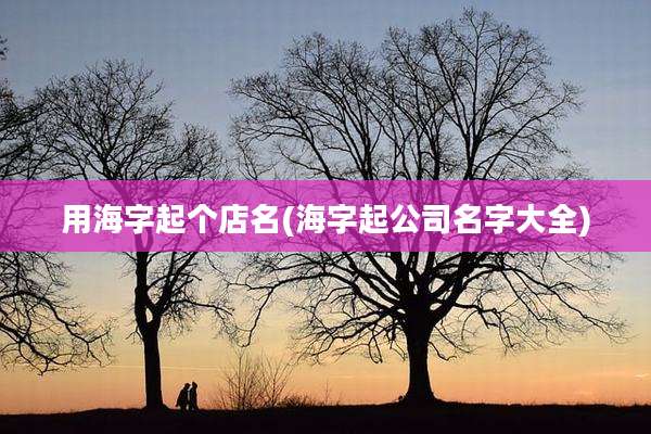 用海字起个店名(海字起公司名字大全)