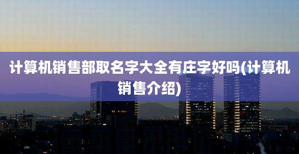 计算机销售部取名字大全有庄字好吗(计算机销售介绍)