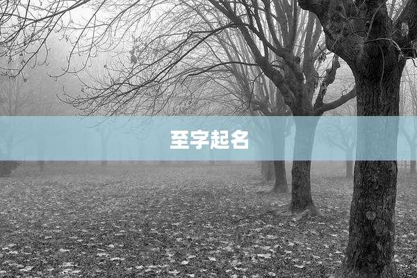 至字起名
