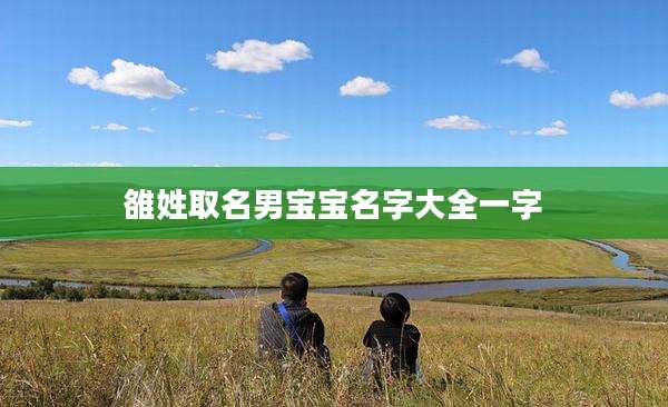 雒姓取名男宝宝名字大全一字
