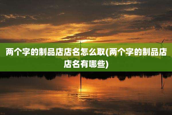 两个字的制品店店名怎么取(两个字的制品店店名有哪些)