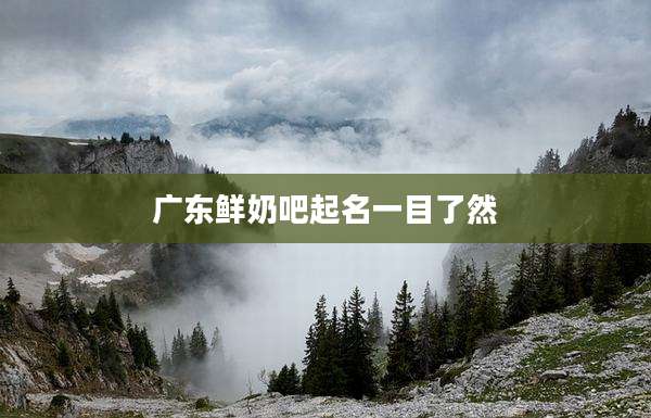 广东鲜奶吧起名一目了然