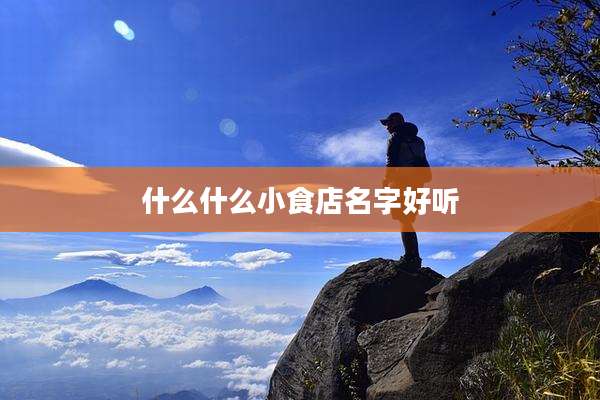 什么什么小食店名字好听