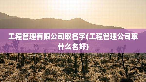 工程管理有限公司取名字(工程管理公司取什么名好)