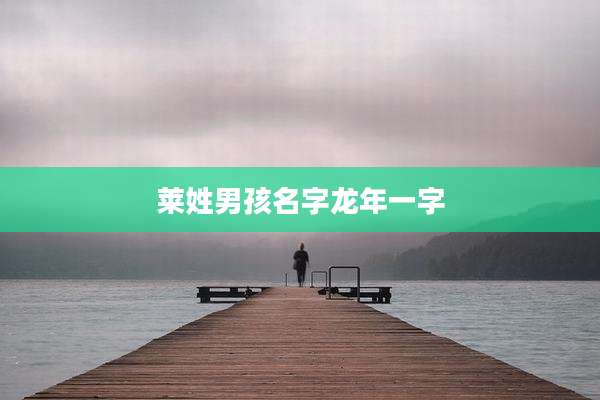 莱姓男孩名字龙年一字