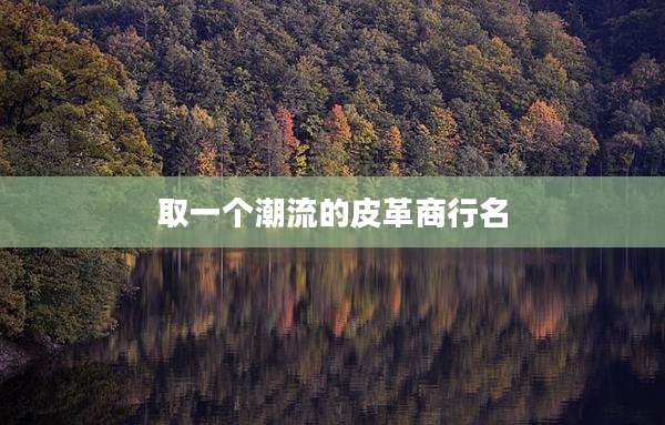 取一个潮流的皮革商行名